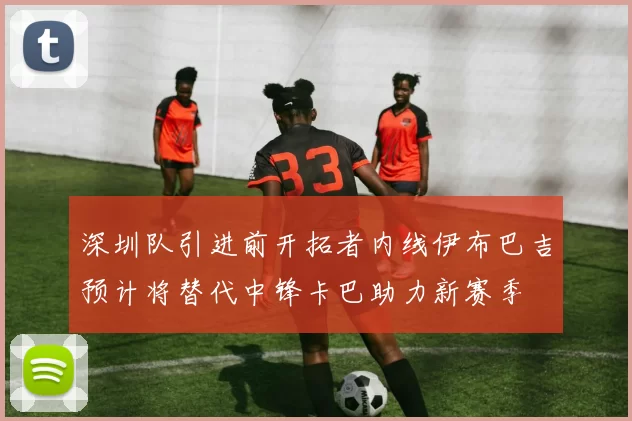 深圳队引进前开拓者内线伊布巴吉预计将替代中锋卡巴助力新赛季