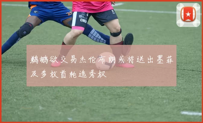 鹈鹕欲交易杰伦布朗或将送出墨菲及多枚首轮选秀权